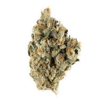 Blackberry Kush strain