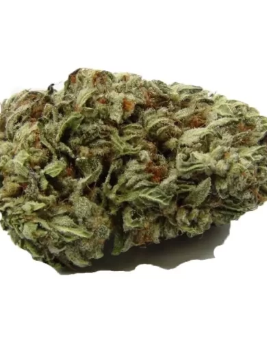 Blackberry Kush strain