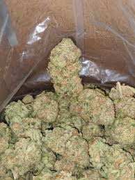 Buy Northern Lights Strain