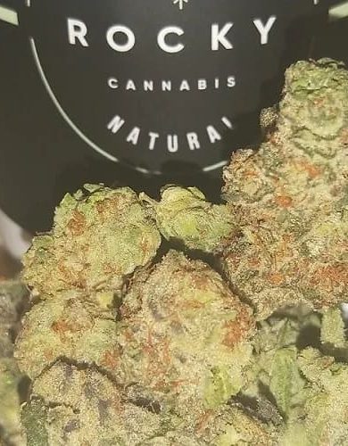 Buy Antg Rocky Strain flower