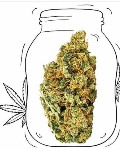 granddaddy purple