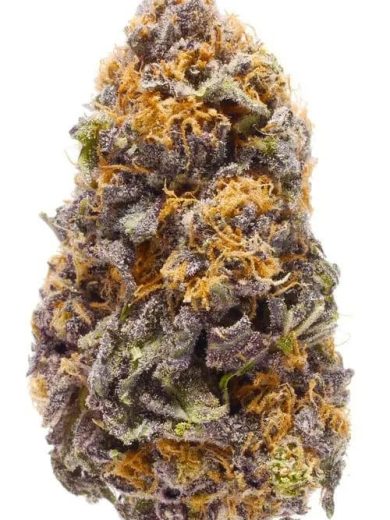 Granddaddy Purple Strain