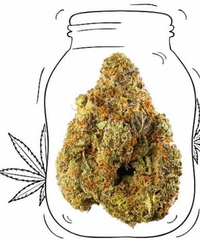 Jack Herer Strain USA