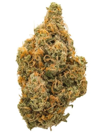 Buy Northern Lights Strain