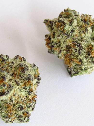 oreoz strain
