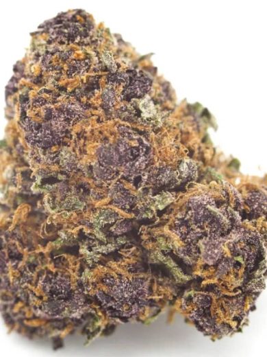Purple Kush Strain