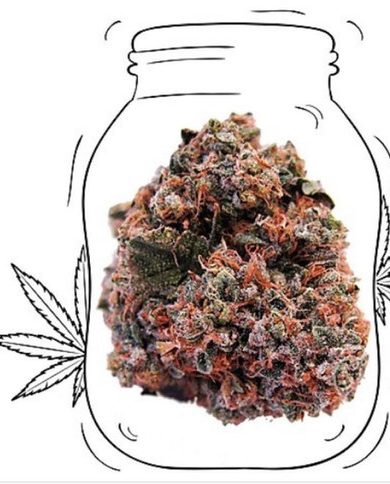 strawberry kush