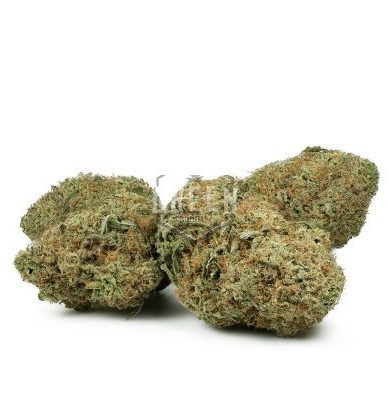 Girl Scout Cookies Strain australia